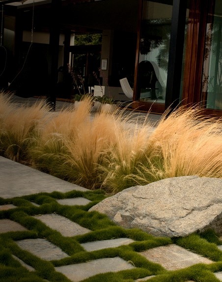 Grounded Modern Landscape Architecture